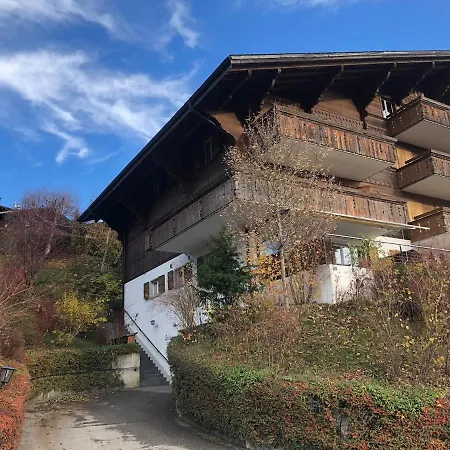 Sunny Vacation With Beautiful Views Apartment Gstaad